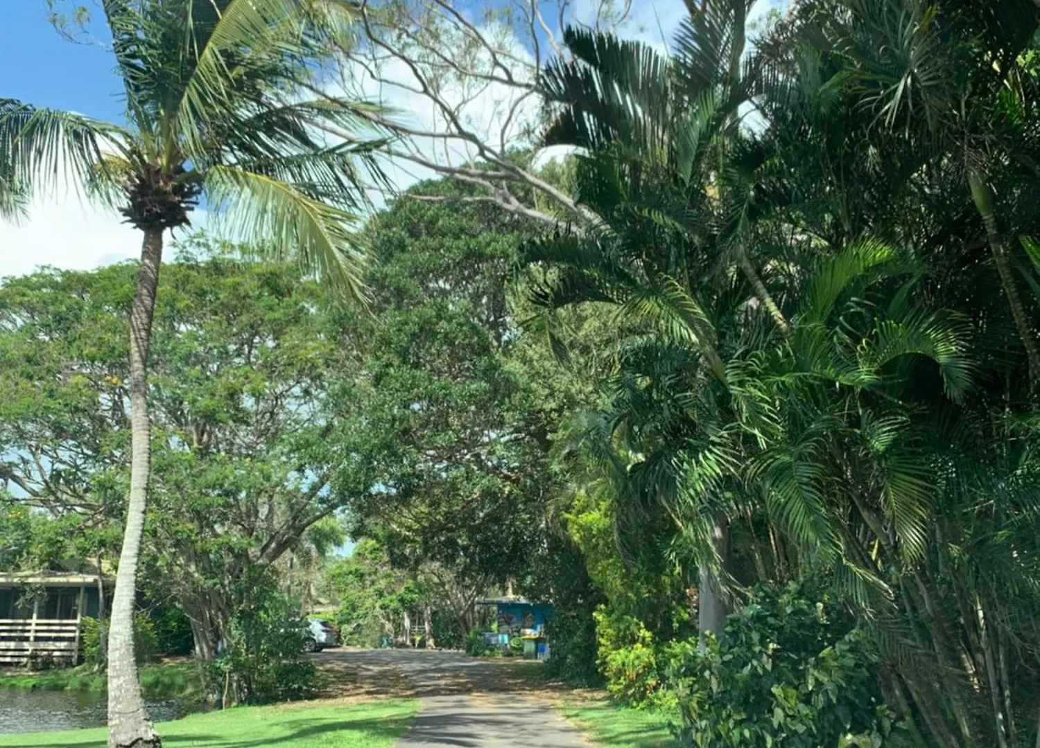Apartment Turtle Cove Lake Front Cabin 300M To Beach Hervey Bay