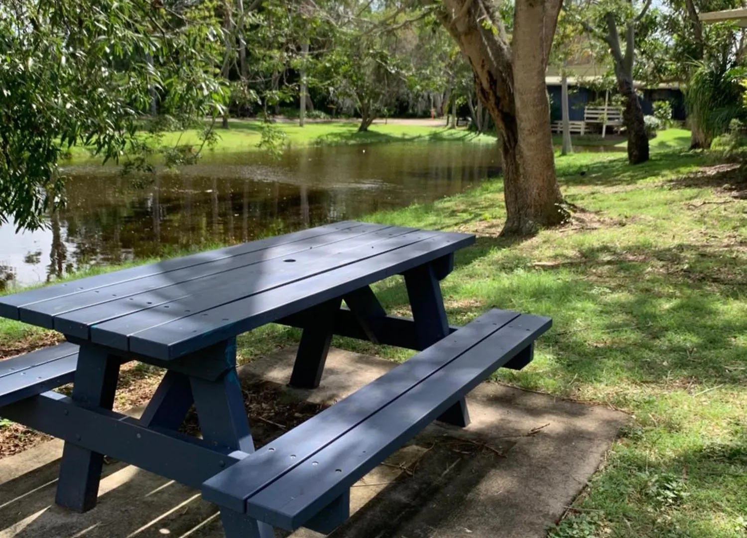 Turtle Cove Lake Front Cabin 300M To Beach Hervey Bay 0*,