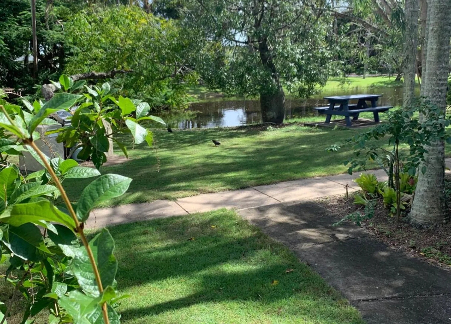 Turtle Cove Lake Front Cabin 300M To Beach Hervey Bay Apartment