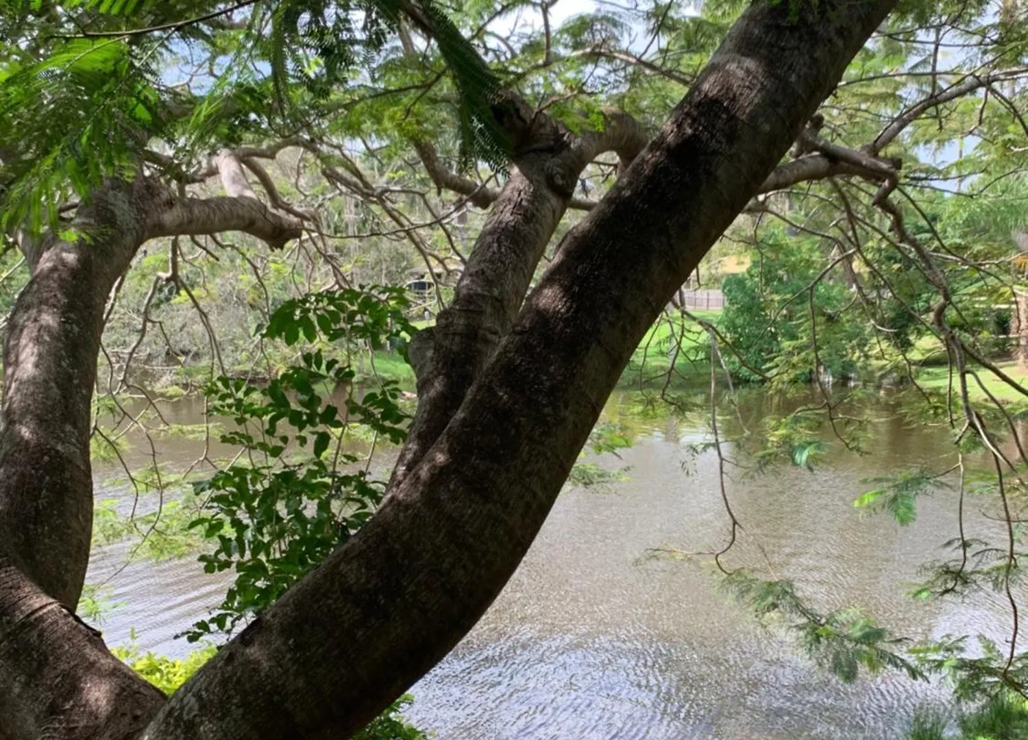 Turtle Cove Lake Front Cabin 300M To Beach Hervey Bay